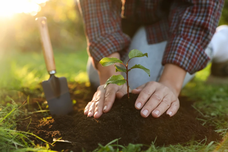 Dependable Landscaping Company Dependable Landscaping Company