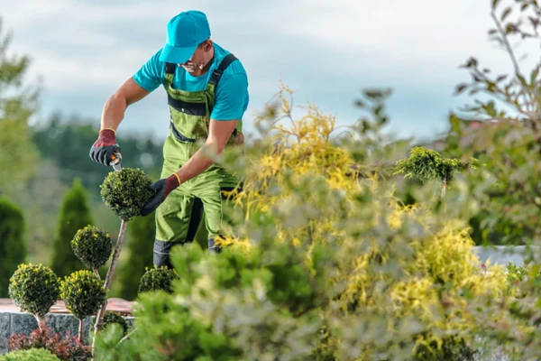 Commercial Landscaping Commercial Landscaping