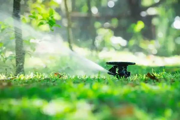 Irrigation System Installation Irrigation System Installation
